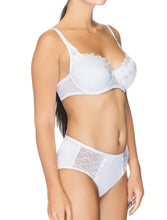 Load image into Gallery viewer, Mid Waist Panties
